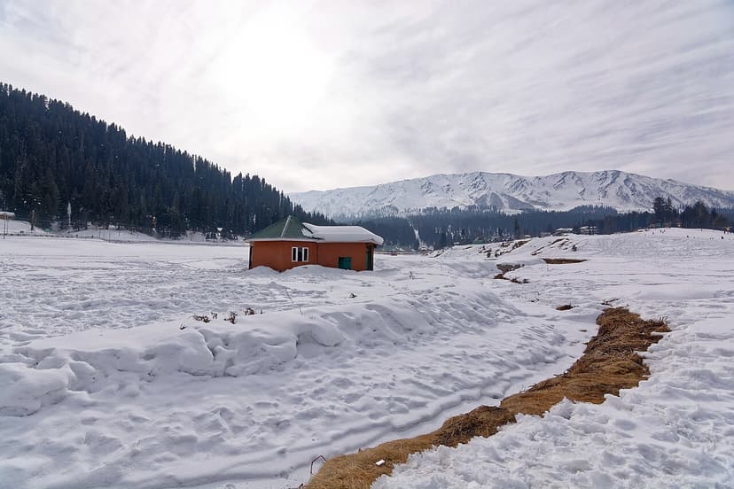 Gulmarg Snow Special